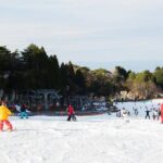 Outskirts of the city Mt Rokko Snow Trip - Authentic Insights from Reviews