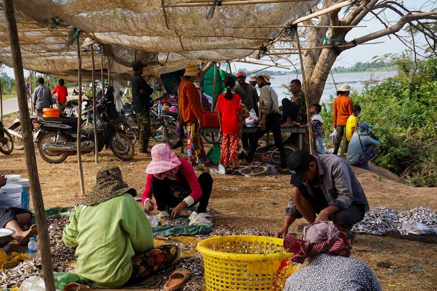 Local vendors selling produce at a rural Cambodian market