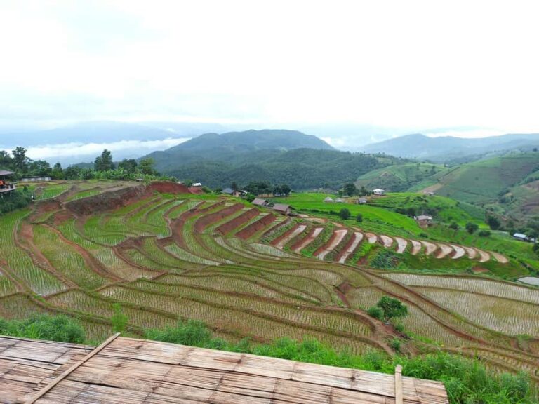 Pa Pong Piang - Authentic Experiences and Cultural Insights