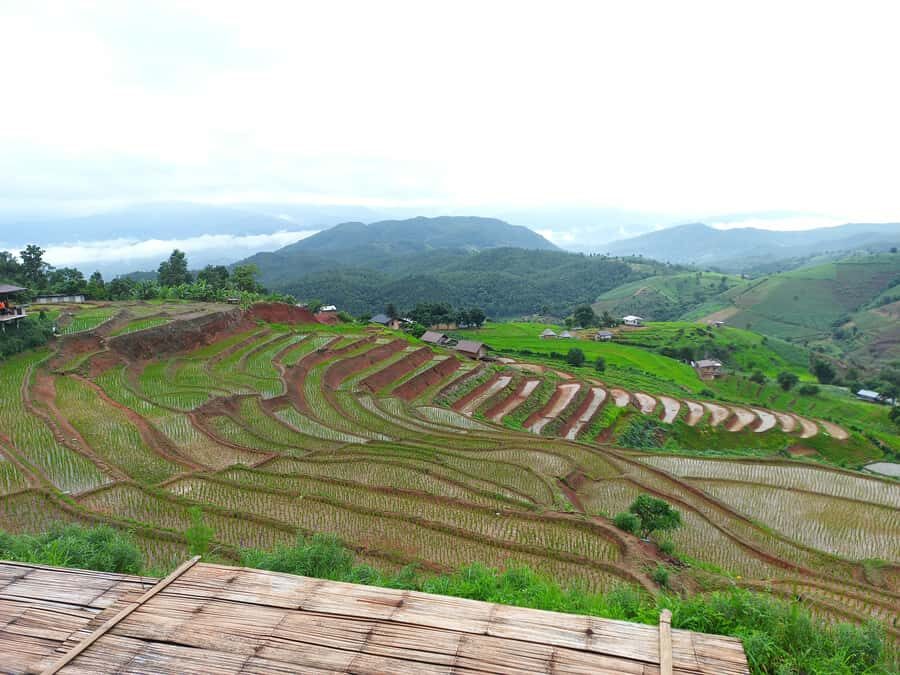 Pa Pong Piang - Authentic Experiences and Cultural Insights