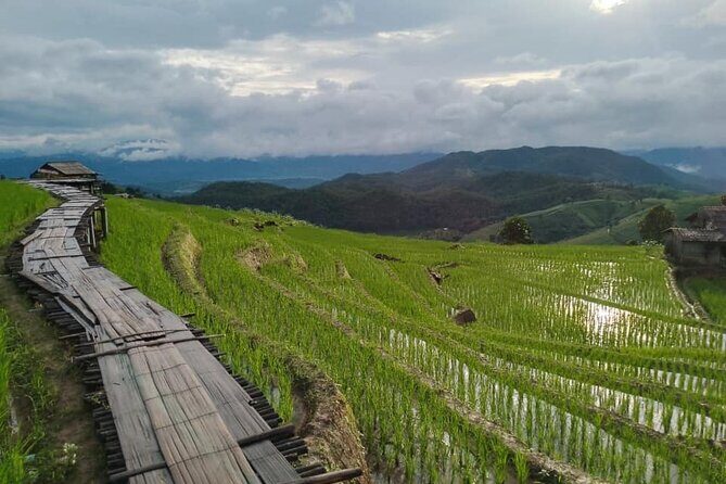 Pa Pong Piang Rice Terrace and Doi Inthanon National Park - Discovering the Highlights of the Tour