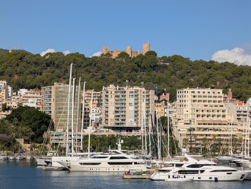 Aerial view of Palma harbour with Bellver Castle