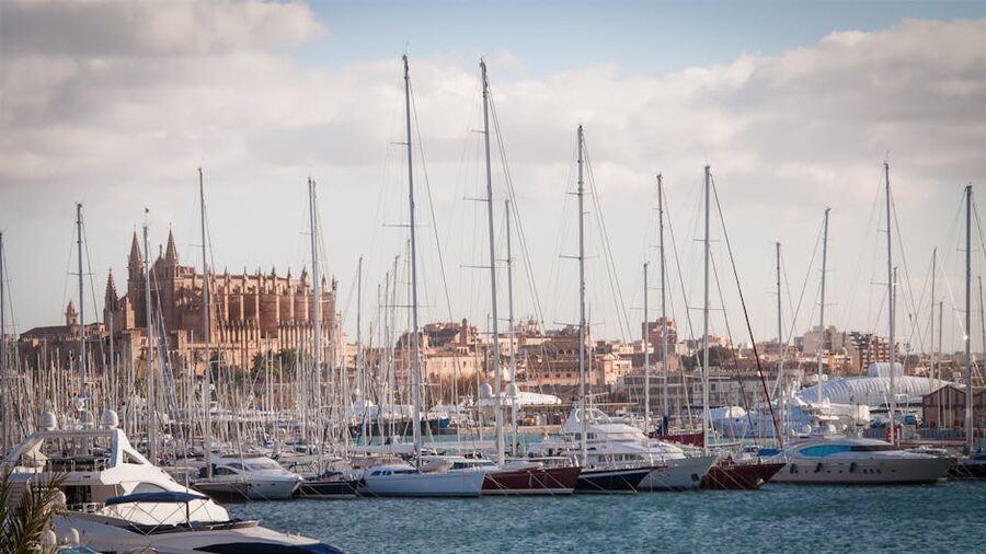Palma marina with yachts and the Cathedral in the background