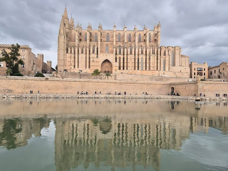 How to Book Palma Cathedral Tickets
