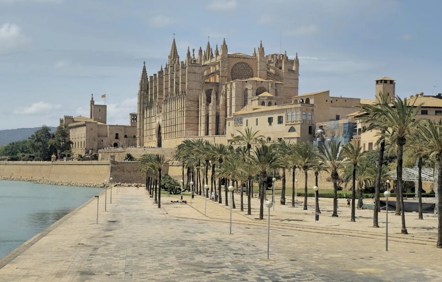 Palma Cathedral promenade with palm trees in Mallorca