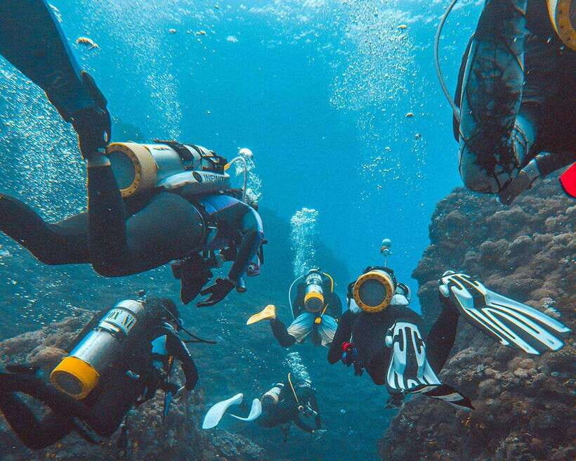 Panglao Bohol: Try Scuba Diving at Napaling and Sardines - What’s Included & What’s Not