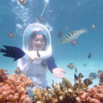 Panglao: Helmet Diving Experience with Photos and Videos - The Experience Itself: What You Can Expect