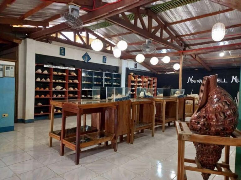 Panglao Land Tour: Private Half-Day Tour with Hotel Pickup - The Value of this Tour