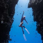 Panglao: Napaling Reef and Sardines Freediving Experience - The Practical Details