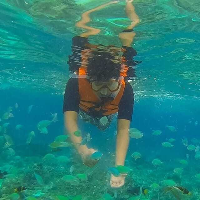 Panglao:Balicasag Island Tour with Turtle & Dolphin Watching - What’s Included and What’s Not