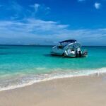 Paradise Island: Glass-Bottom Boat Tour with Live Commentary - Authentic Traveler Insights