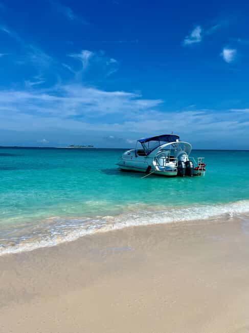 Paradise Island: Glass-Bottom Boat Tour with Live Commentary - Authentic Traveler Insights
