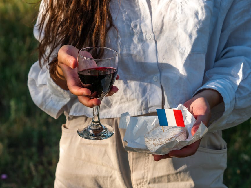 French red wine with camembert cheese tasting