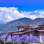 Paro: Culture and Nature 4-Day Guided Tour - What’s Included & What to Consider
