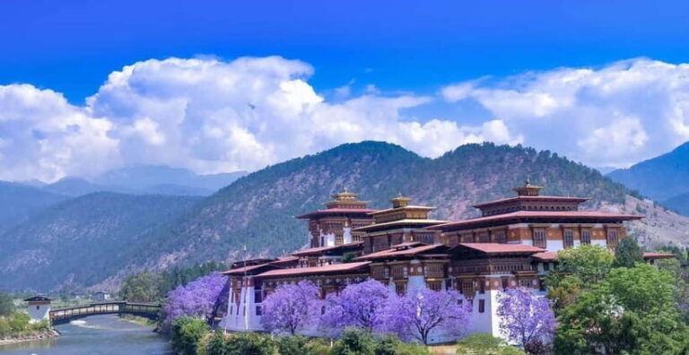 Paro: Culture and Nature 4-Day Guided Tour - What’s Included & What to Consider