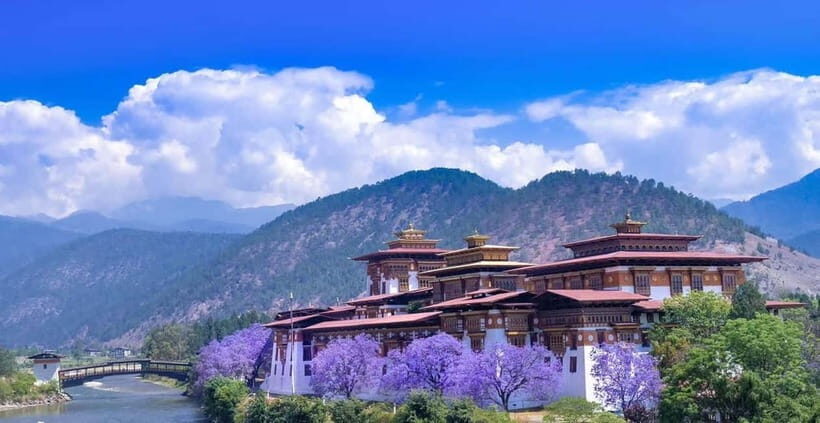Paro: Culture and Nature 4-Day Guided Tour - What’s Included & What to Consider