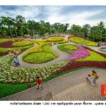 Pattaya : Full Day Private Tour - Practical Details and Tips