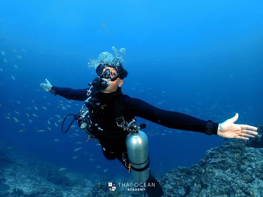 Pattaya: Fun Dive 2 Ocean Dives and Lunch (Certified Diver) - Who Should Consider This Tour?