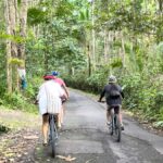 Pedal Through Paradise: Bali Wanderlust Sidemen Cycling Tour - Visiting Gembleng Waterfall: Nature’s Refreshing Surprise