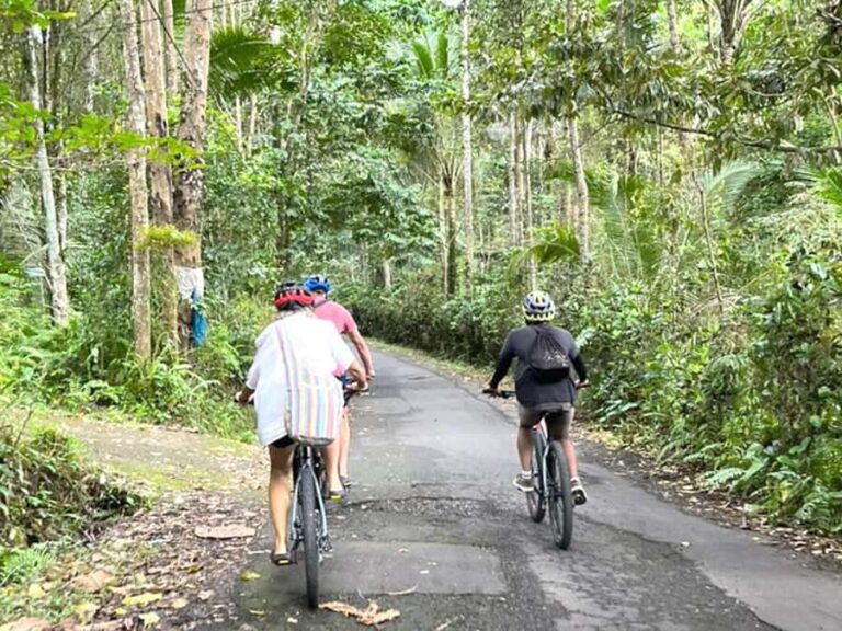 Pedal Through Paradise: Bali Wanderlust Sidemen Cycling Tour - Visiting Gembleng Waterfall: Nature’s Refreshing Surprise