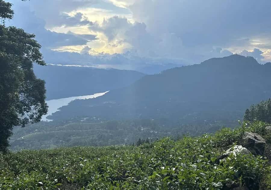 Pekoe Trail 1-5: Guided 7-Day Trek with Hotels & Transfers - Practical Details and Why They Matter