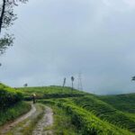 Pekoe Trail 6-9: Guided 6 Day Trail with Hotels & Transfers - Who Should Consider This Tour?