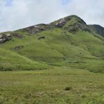 Pekoe Trail Stage 9 Guided Hike (Bogawantalawa-Dayagama) - Practical Details and What to Expect