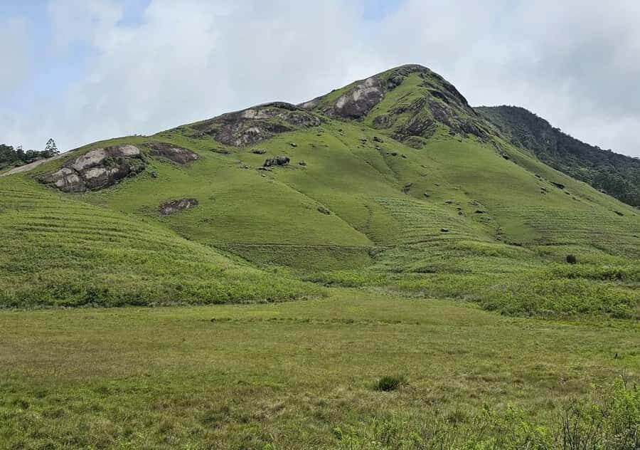 Pekoe Trail Stage 9 Guided Hike (Bogawantalawa-Dayagama) - Practical Details and What to Expect