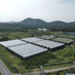 Penang: The Vanilla Village Farm Tour by Kairos - Discovering Vanilla: What to Expect on the Tour