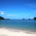 Penang UNESCO Heritage Walk - Practical Tips for Making the Most of This Tour