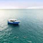 Penneshaw: Kangaroo Island Ultimate Adventure Tour - Authentic Insights from Reviews