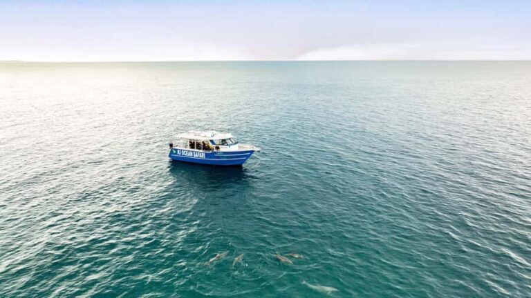 Penneshaw: Kangaroo Island Ultimate Adventure Tour - Authentic Insights from Reviews