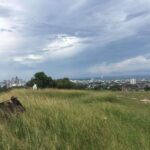 Personal Guide to Starbuk's Banawa, Cebu City - Introduction: A Quick Overview of the Experience