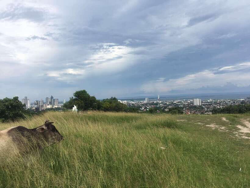 Personal Guide to Starbuk's Banawa, Cebu City - Introduction: A Quick Overview of the Experience