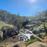 Perth: Numbat Trail Hike at Paruna Wildlife Sanctuary - An In-Depth Look at the Numbat Trail Hike