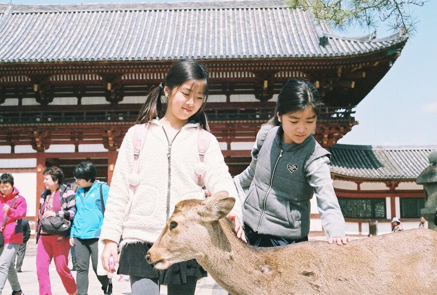 Two young girls petting a friendly deer outside a traditional Japanese temple in Nara