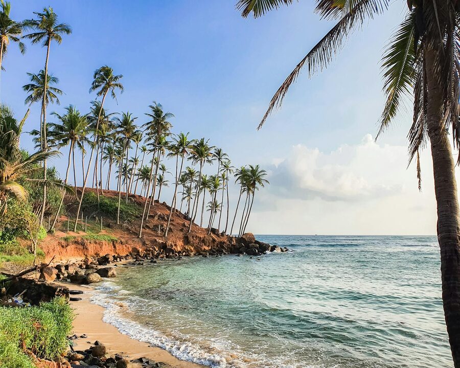The coastline at Mirissa Sri Lanka with coconut palms and turquoise water