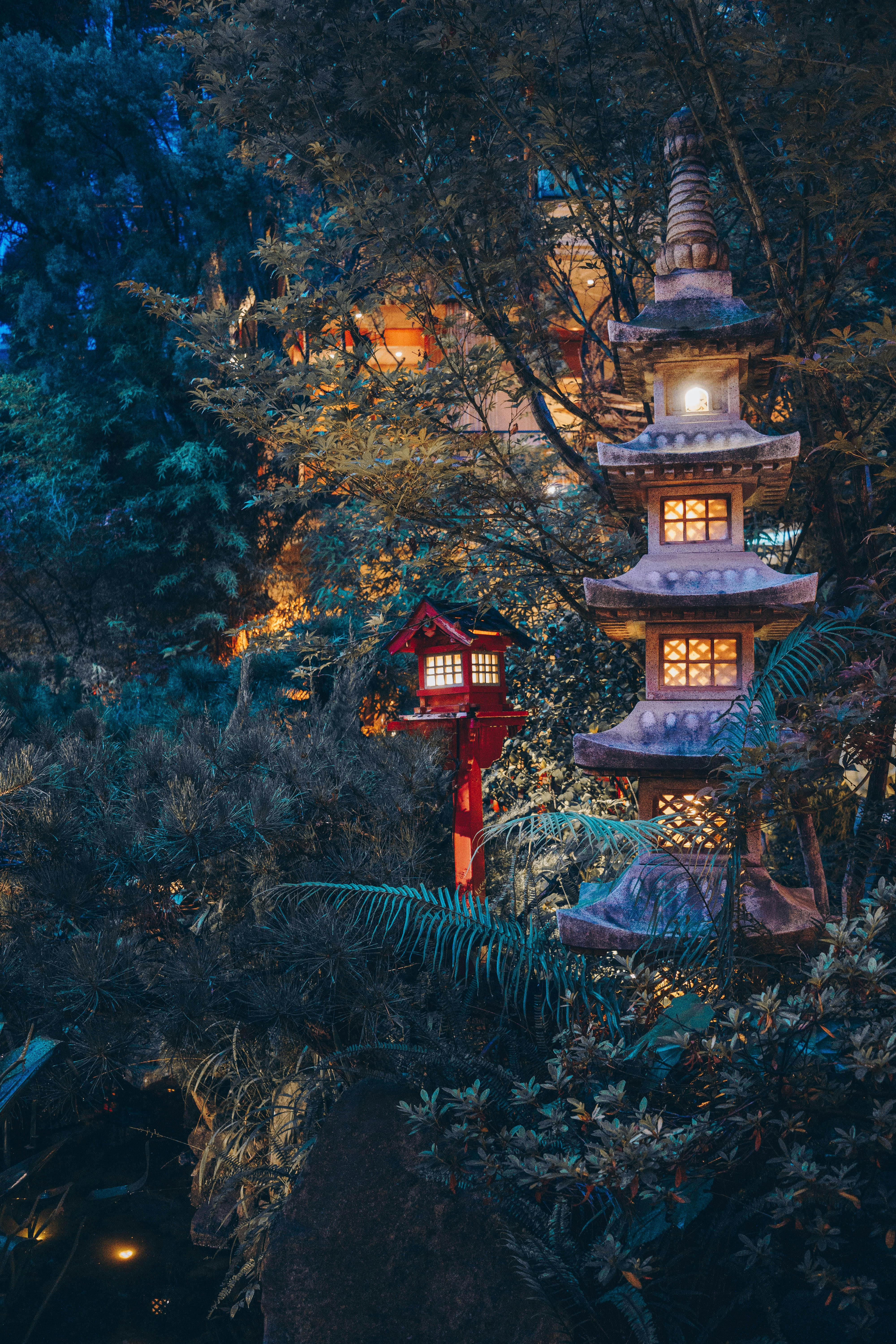 Illuminated pagoda in a dense forest at night
