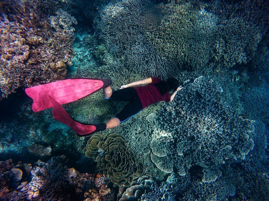 Freediver exploring colorful coral reef with pink fins in clear water