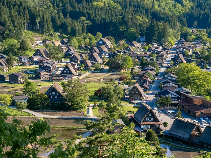Iconic gassho-zukuri thatched-roof houses in a lush green summer landscape at Shirakawa-go