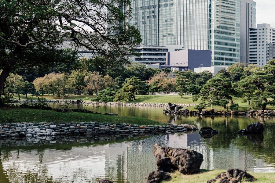 Serene Japanese garden at Hama Rikyu with Tokyo skyscrapers in the background