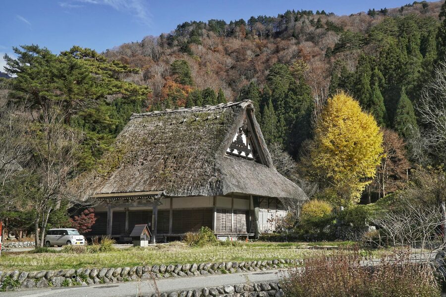 Traditional gassho-zukuri farmhouse surrounded by fall colors in Shirakawa-go