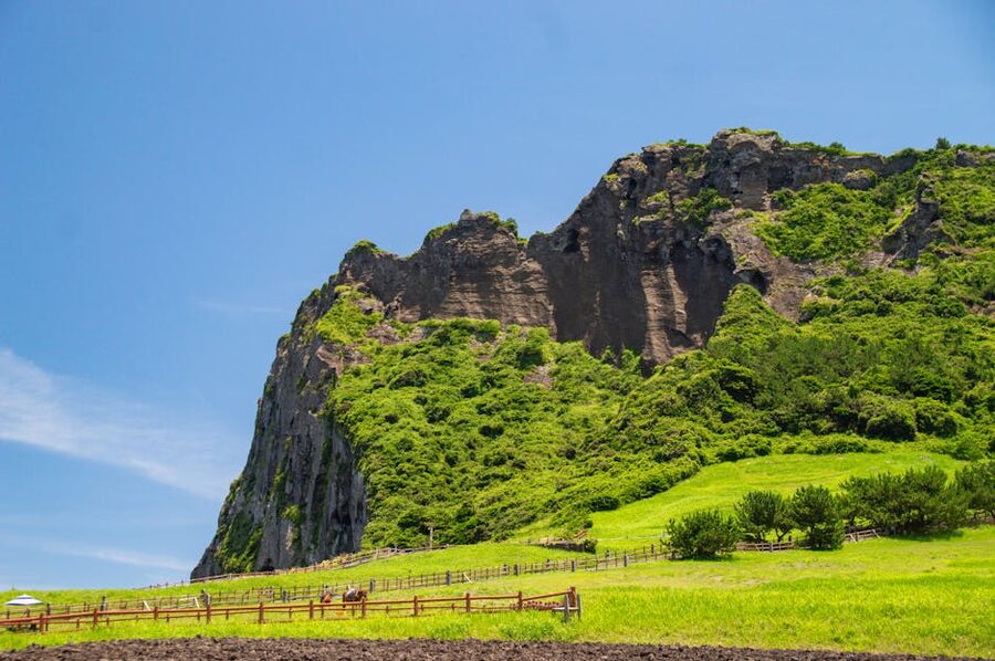 Seongsan Ilchulbong tuff cone rising from the sea on Jeju Island