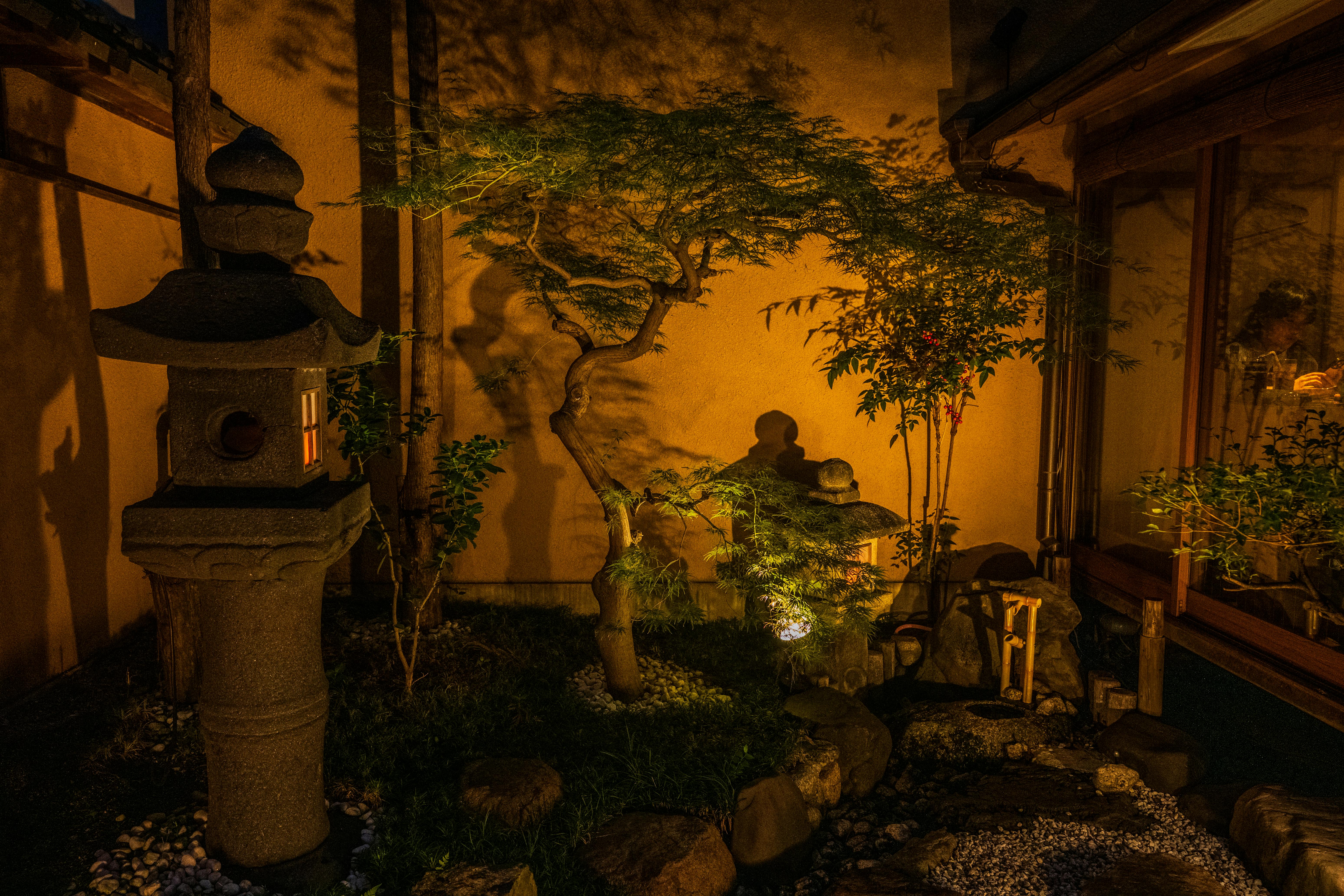 Night scene of Japanese garden with stone lantern and foliage