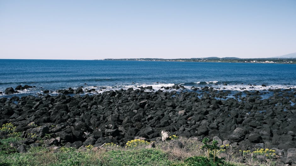 Jeju Island volcanic coastline with black lava rocks and blue ocean