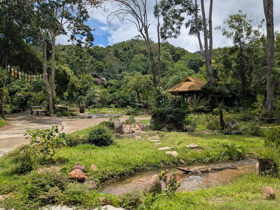 Green landscape with stream and traditional hut in Chiang Mai