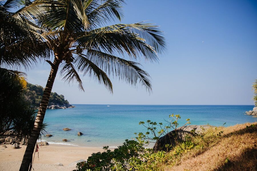 Tropical beach with palm trees and turquoise waters in Phuket