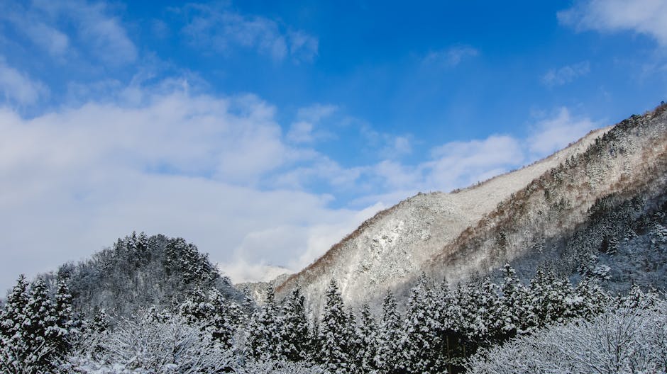 Snow-covered mountains and trees in Nagano Japan