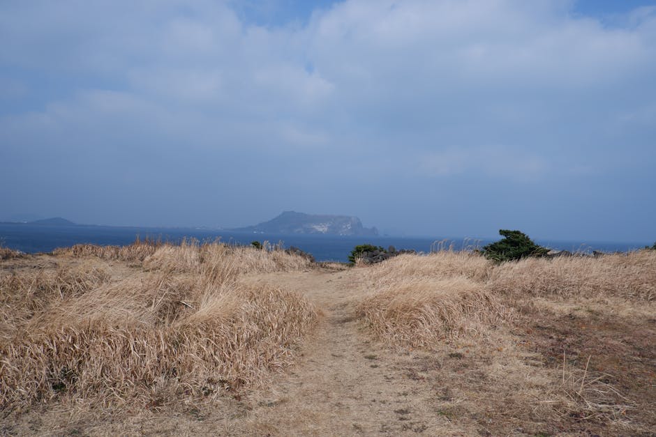Jeju Island coastal scenery with green cliffs and turquoise water