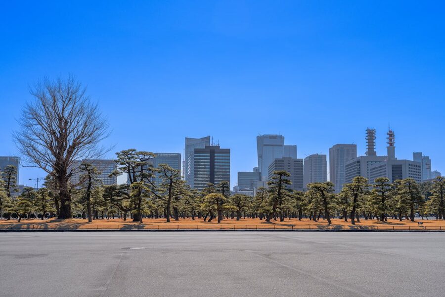 Panoramic view of Tokyo high-rises rising above the green trees of the Imperial Palace Gardens